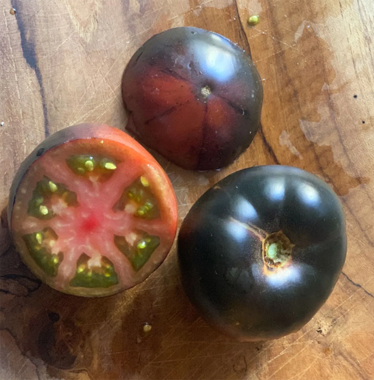 Tomato Purple Bumblebee, Томат Пурпурный шмель, Tomat Purpuurne kimalane