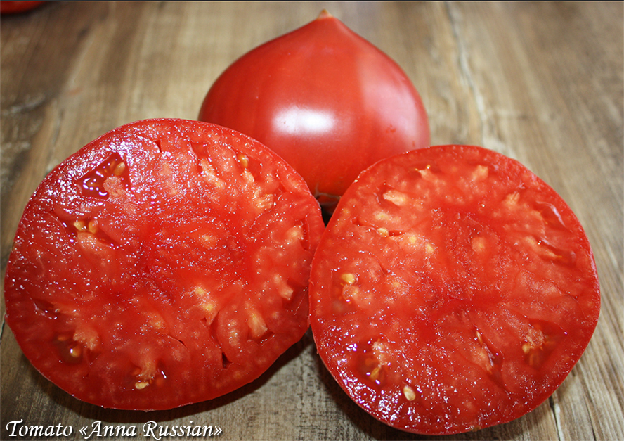 Tomato "Anna Russian" Tomaatti, Розовоплодный томат с носиком "Анна Русская"