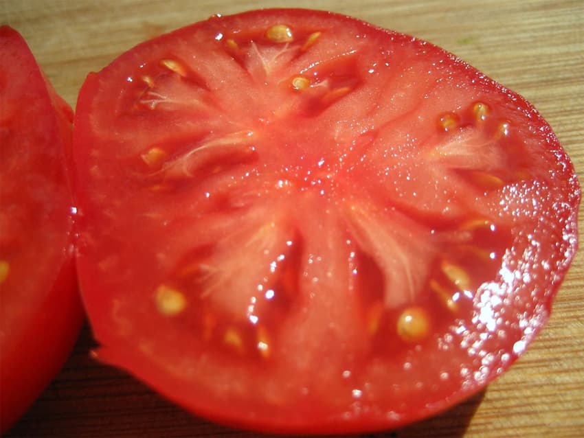 Tomat Moguchee Vymya